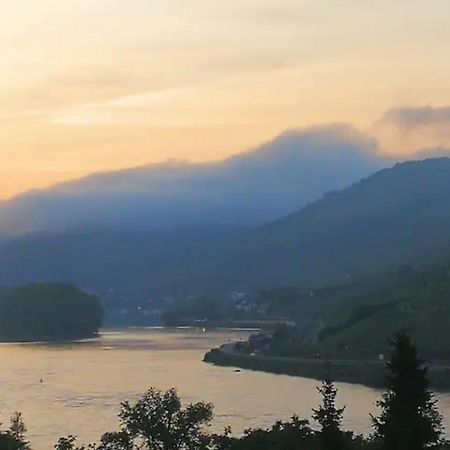 Wunderschoene Aussicht Garantiert Trechtingshausen 外观 照片
