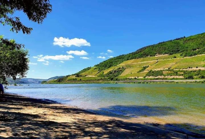 Wunderschoene Aussicht Garantiert Trechtingshausen 外观 照片