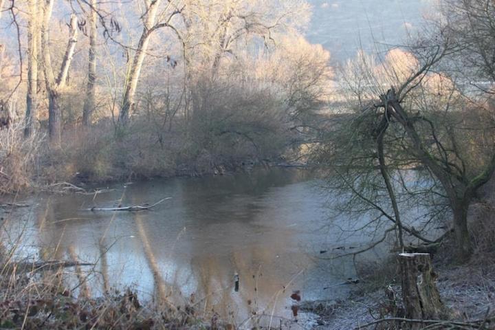 Wunderschoene Aussicht Garantiert Trechtingshausen 外观 照片