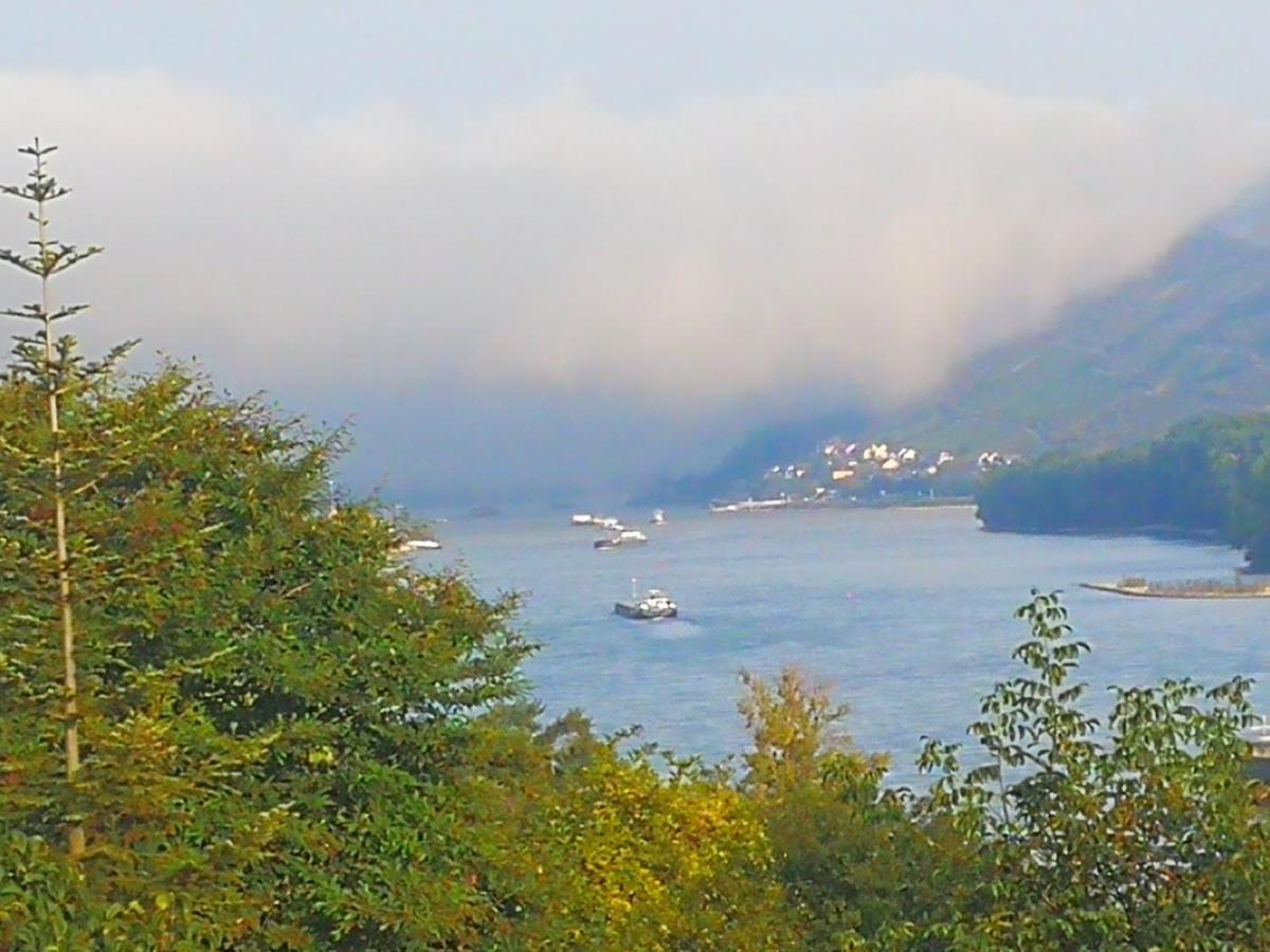 Wunderschoene Aussicht Garantiert Trechtingshausen 外观 照片