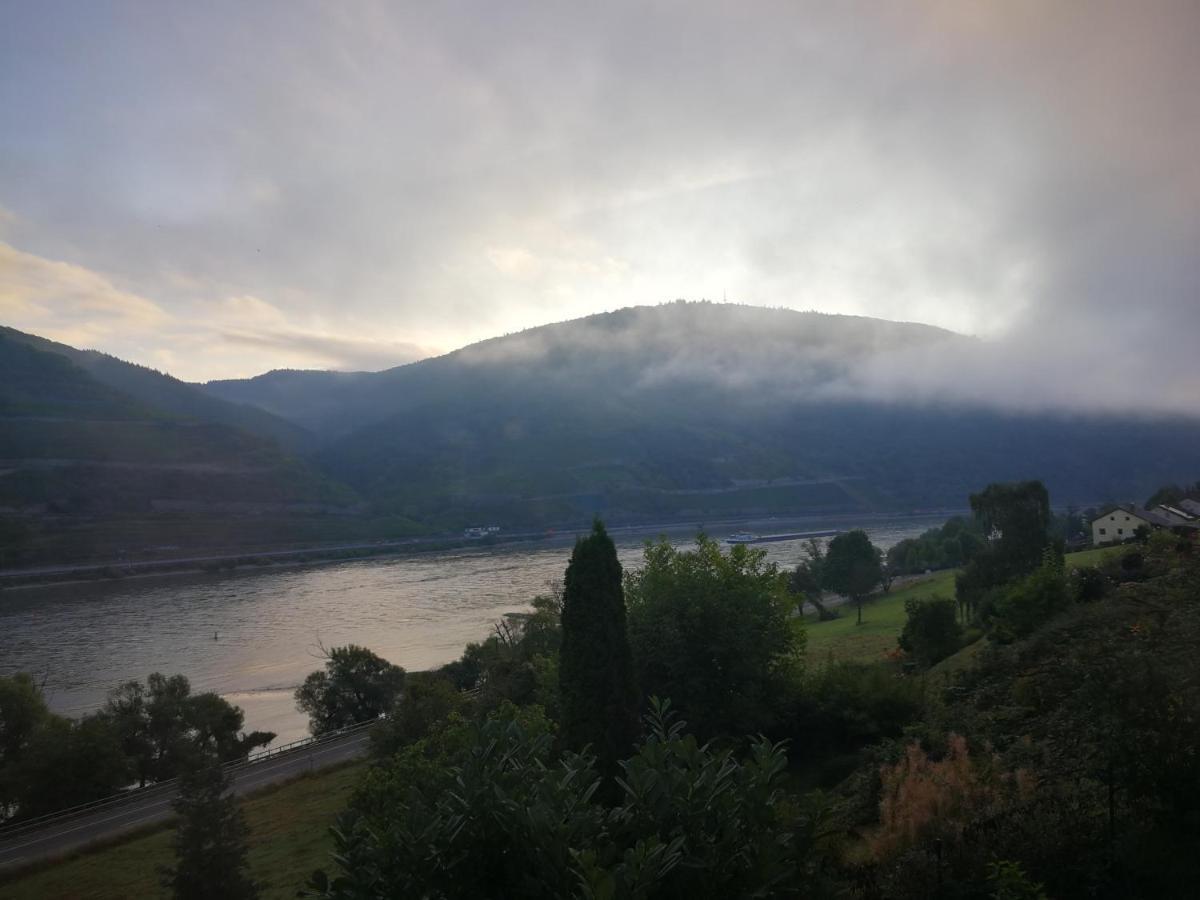 Wunderschoene Aussicht Garantiert Trechtingshausen 外观 照片