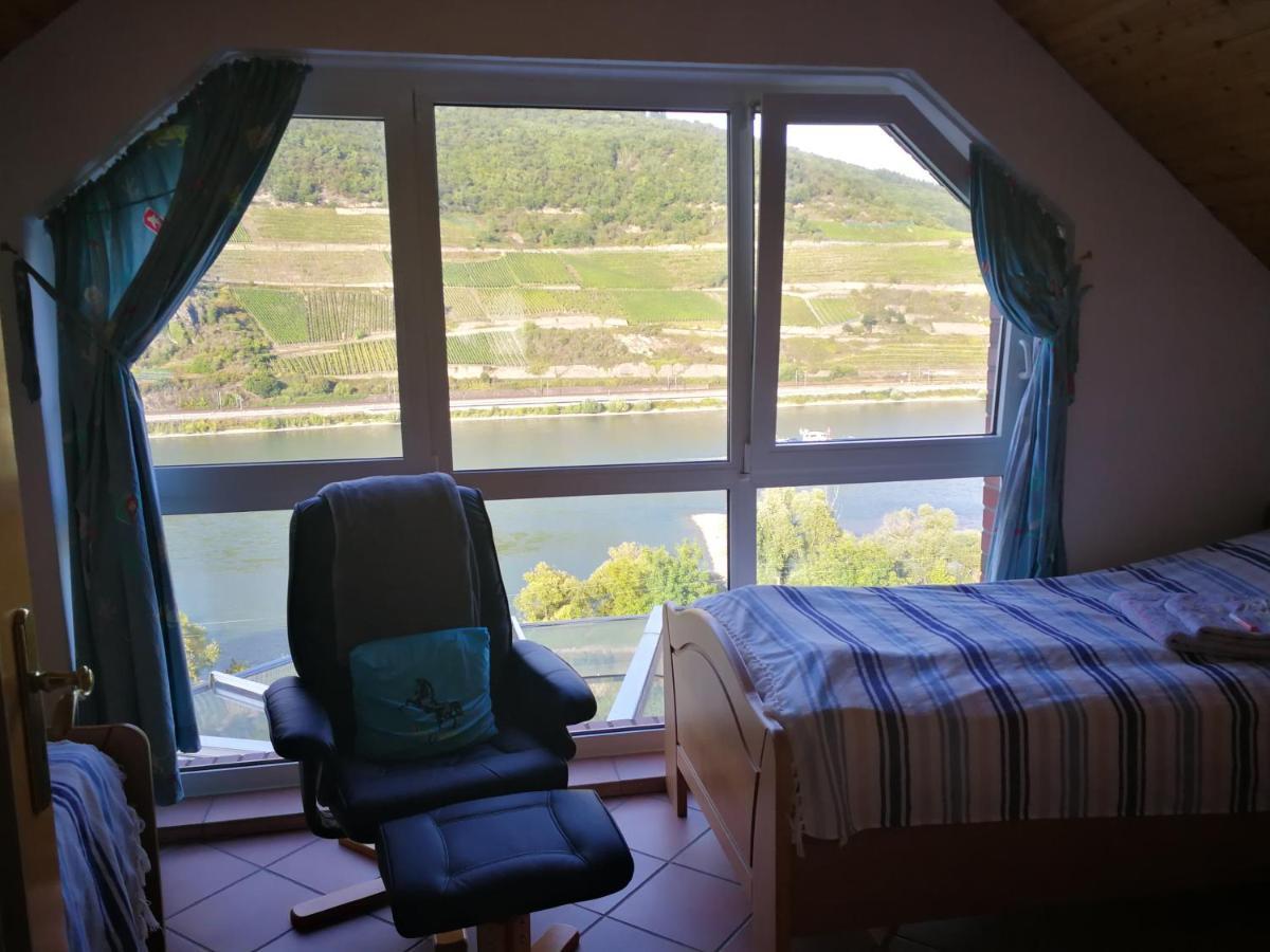 Wunderschoene Aussicht Garantiert Trechtingshausen 外观 照片